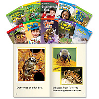 Shell Education TFK Emergent 1st-Grade Book Set 3 Printed Book Book - Grade 1 - English - 10 / Set (16099)