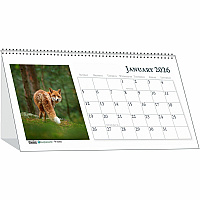 House of Doolittle Wildlife Photo Desk Top Tent Calendars Julian Dates - Monthly - 12 Month - January 2026 to December 2026 - 1 Month Double Page Layout - Wire Bound - Desktop - Paper - 4.5" Height x 8.5" Width - Reference Calendar, Double-sided -  (3689)