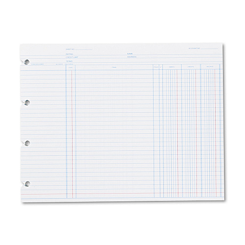 Wilson Jones Accounting, 9-1/4 x 11-7/8, 100 Loose Sheets/Pack (N2D)