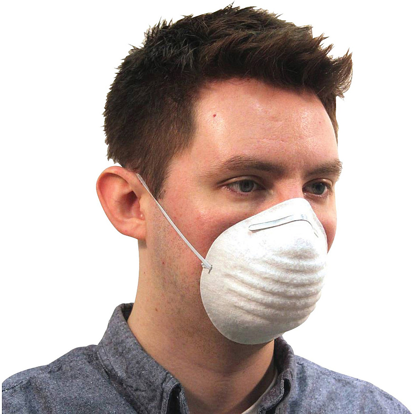 ProGuard Disposable Nontoxic Dust Mask Pollen, Dust, Grass Protection - Polypropylene - White - Disposable, Elastic Band - 12 / Carton (7300BCT)