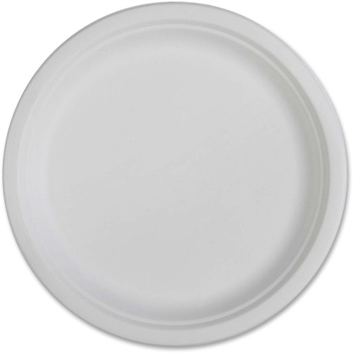 Genuine Joe Compostable Plates (10218CT)