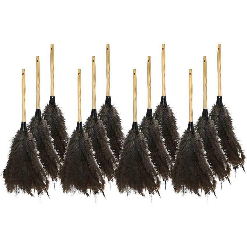 Genuine Joe Feather Duster Brown - 12 / Carton (GJO90118CT)