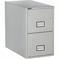 Phoenix World Class Vertical File - 2-Drawer 16.9" Width x 31" Depth x 28" Height - 2 x Drawer(s) for File - Letter - Vertical - Fire Resistant, Explosion Resistant, Impact Resistant, Security Lock - Light Gray - 1 Each (LTR2W31LG)