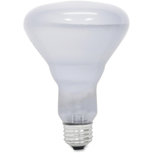 GE Lighting Reveal 65-watt R30 Floodlight (48692CT)