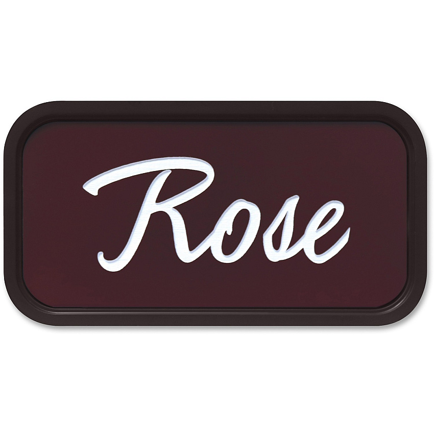 Xstamper Designer Framed Wall/Door Sign 4" Holding Width x 2" Holding Height - Rectangular Shape - Wall, Door - Rounded Corner - Plastic - Brown - 1 Each (G43)