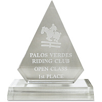 Xstamper Pinnacle Acrylic Award 4" Width x 5.8" Length - Laser Compatible - Assorted - Acrylic - 1 Each (A76)