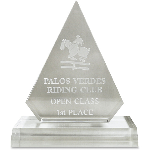 Xstamper Pinnacle Acrylic Award 4" Width x 5.8" Length - Laser Compatible - Assorted - Acrylic - 1 Each (A76)