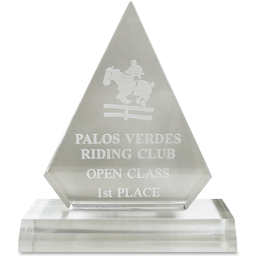 Xstamper Pinnacle Acrylic Award 4" Width x 5.8" Length - Laser Compatible - Assorted - Acrylic - 1 Each (A76)