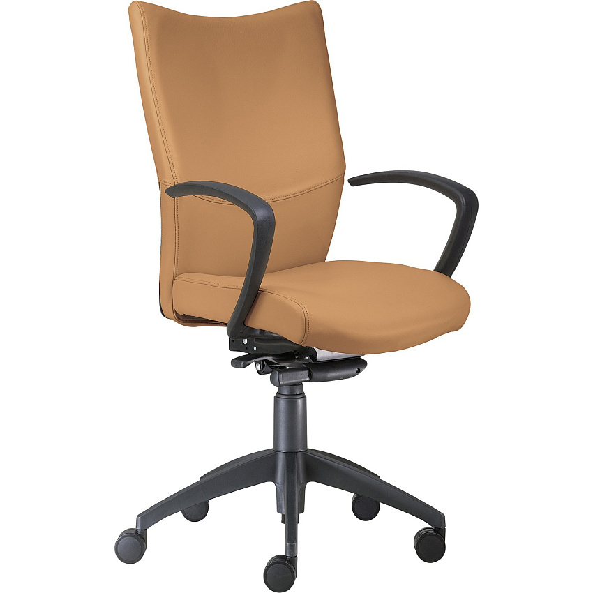 9 to 5 Seating High-Back Conference & Management Camel Seat Color - Leather Seat Material - Camel Back Color - Leather Back Material - High Back - 5-star Base - 1 Each (2380Y2A10L07)