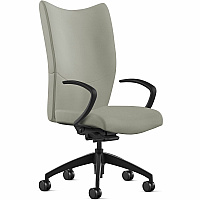 9 to 5 Seating High-Back Conference & Management Mist Seat Color - Leather Seat Material - Mist Back Color - Leather Back Material - High Back - 5-star Base - 1 Each (2380Y2A10L03)