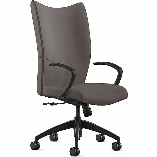9 to 5 Seating High-Back Conference & Management Caf Seat Color - Leather Seat Material - Caf Back Color - Leather Back Material - High Back - 5-star Base - 1 Each (2380S2A10L10)