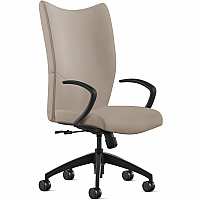 9 to 5 Seating High-Back Conference & Management Mushroom Seat Color - Leather Seat Material - Mushroom Back Color - Leather Back Material - High Back - 5-star Base - 1 Each (2380S2A10L05)