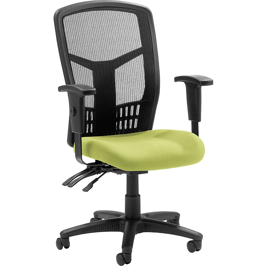Lorell Executive High-back Mesh Chair Dillon Apple Green Seat Color - Vinyl Seat Material - Black Back Color - Mesh Back Material - Black Frame Color - Steel, Plastic Frame Material - High Back - 5-star Base - Armrest - 1 Each (LLR86200009)
