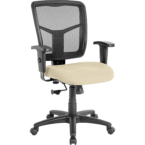 Lorell Ergomesh Managerial Mesh Mid-back Chair Dillon Buff Seat Color - Vinyl Seat Material - Black Back Color - Mesh Back Material - Black Frame Color - Mid Back - 5-star Base - Buff, Beige - 1 Each (LLR86209007)