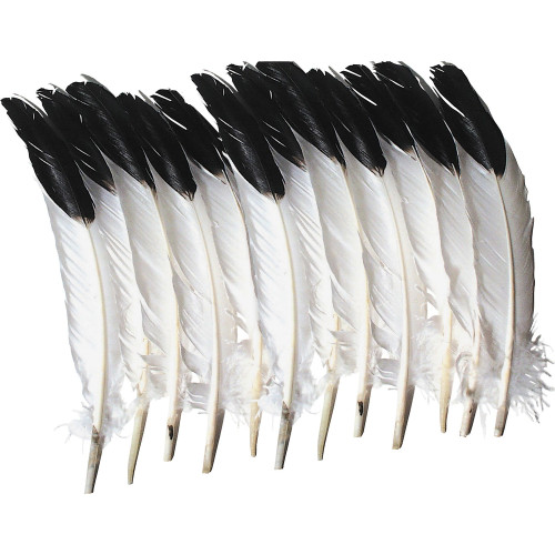 Creativity Street Imitation Eagle Feathers (AC4512)