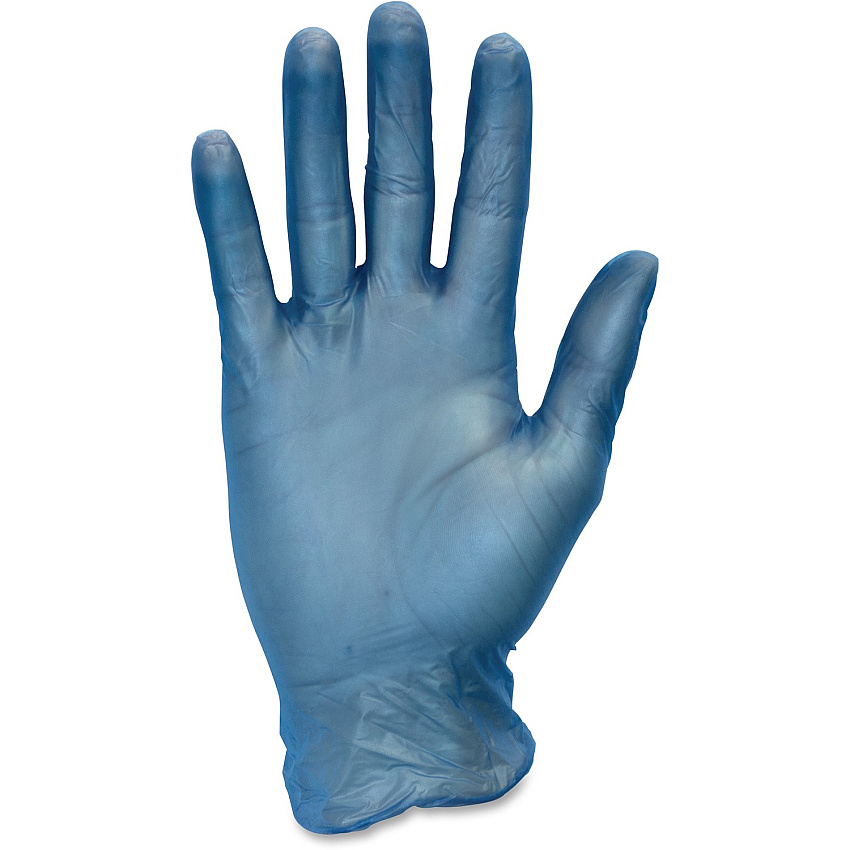 Safety Zone General-purpose Vinyl Gloves Large Size - For Right/Left Hand - Blue - Latex-free, Comfortable, Silicone-free, Allergen-free, DINP-free, DEHP-free, Durable - For Food, Janitorial Use, Cosmetics, Painting, Cleaning, General Purpos (GVP9LG1BLCT)