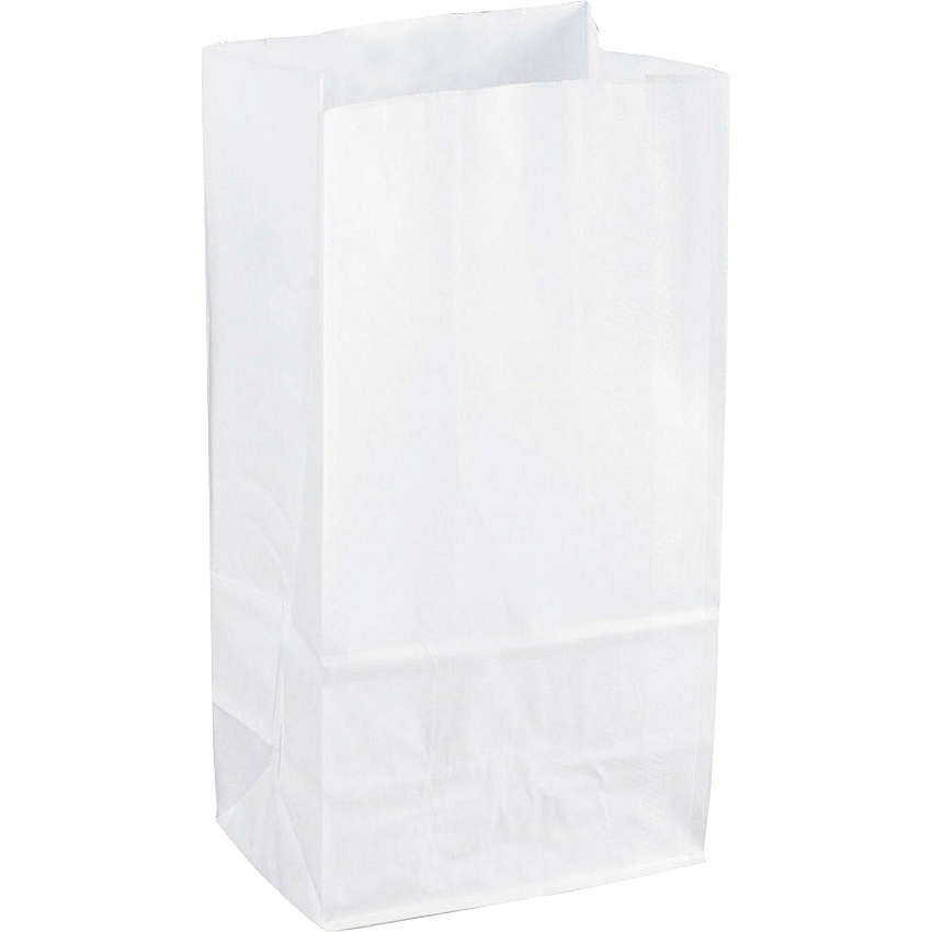 Sparco White Kraft Paper Bags 11" Length x 6" Width - White - Paper - 100 / Pack (99828)