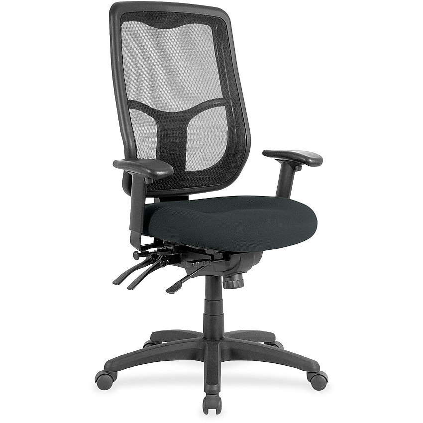 Eurotech Executive Chair Fabric Seat Material - High Back - Dillon Black - Vinyl - 1 Each (MFH9SL076)