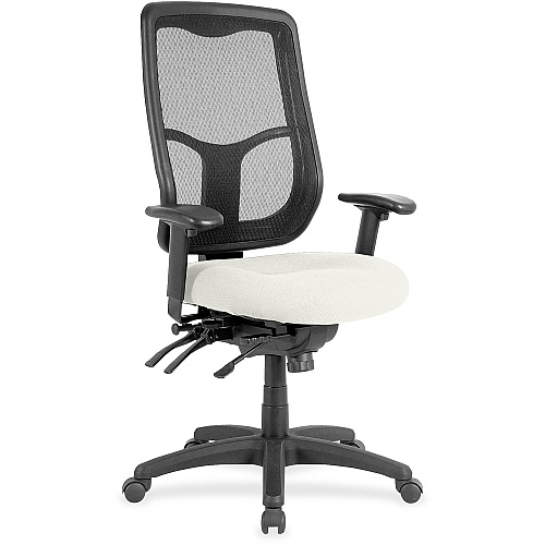 Eurotech Executive Chair Fabric Seat Material - High Back - Dillon Snow - Vinyl - 1 Each (MFH9SL103)