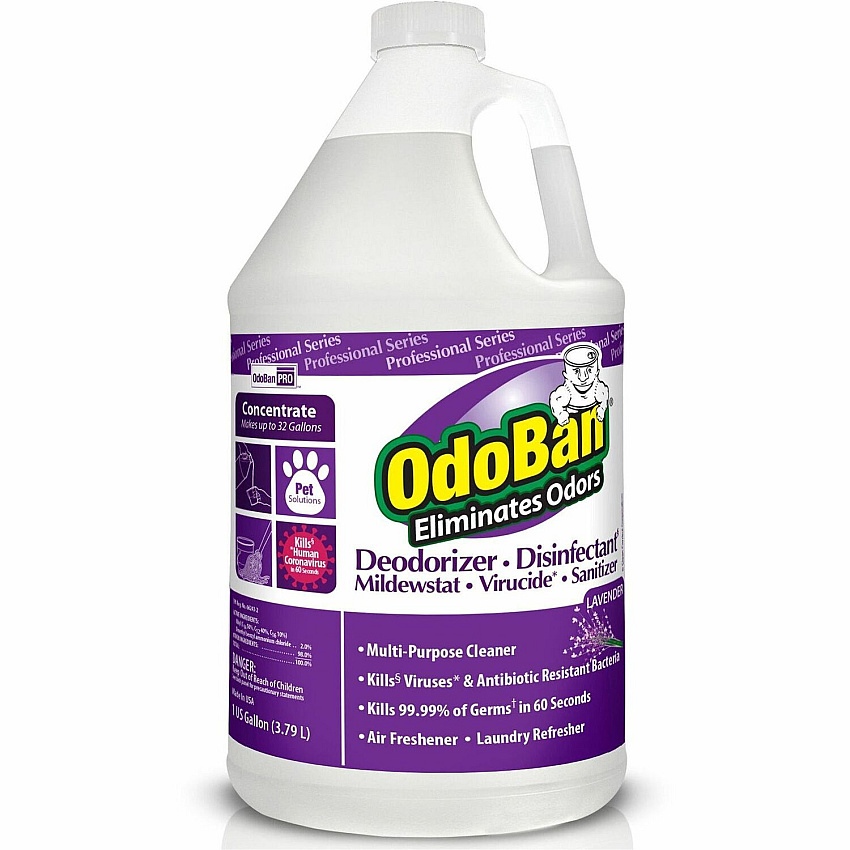 OdoBan Deodorizer Disinfectant Cleaner Concentrate Concentrate - 128 fl oz (4 quart) - Lavender Scent - Recommended For: Odor Remover - Disinfectant, Deodorize, Residue-free - Purple - 1 Each (911162G4)