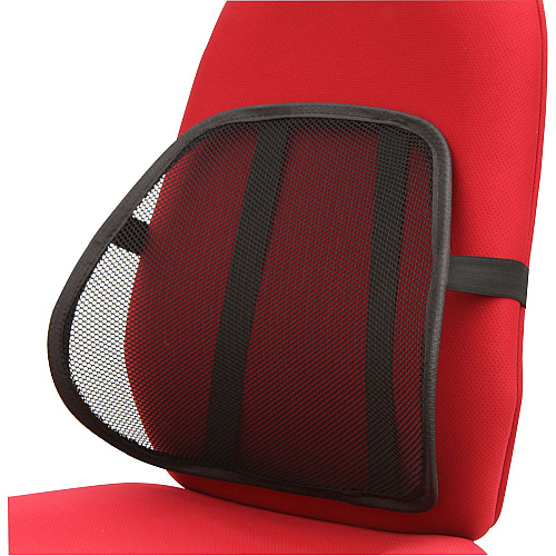 Lorell Ergo Mesh Lumbar Back Support Black - 1 Each (LLR42171)