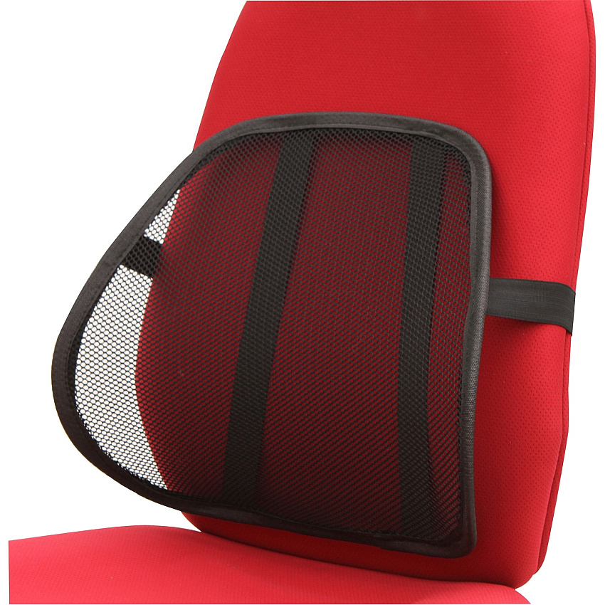 Lorell Ergo Mesh Lumbar Back Support Black - 1 Each (LLR42171)