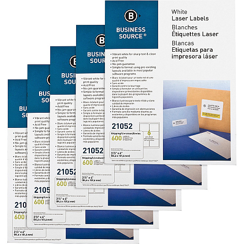 Business Source Bright White Premium-quality Address Labels 3 1/3" Width x 4" Length - Permanent Adhesive - Rectangle - Laser, Inkjet - White - Jam-free - 6 / Sheet - 500 Total Sheets - 600/Pack - 5 / Carton (BSN21052CT)