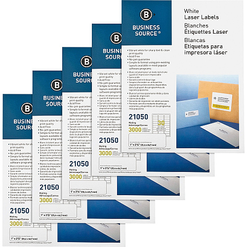 Business Source Bright White Premium-quality Address Labels 1" Width x 2 5/8" Length - Permanent Adhesive - Rectangle - Laser, Inkjet - White - Jam-free - 30 / Sheet - 100 Total Sheets - 3000/Pack - 5 / Carton (BSN21050CT)