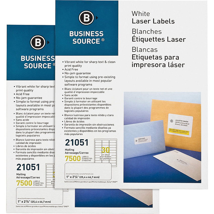 Business Source Bright White Premium-quality Address Labels 1" Width x 2 5/8" Length - Permanent Adhesive - Rectangle - Laser, Inkjet - White - Jam-free - 30 / Sheet - 250 Total Sheets - 7500/Pack - 2 / Carton (BSN21051CT)