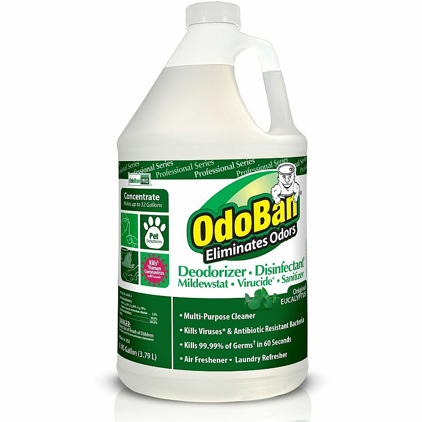 OdoBan Eucalyptus Multi-purpose Deodorizer Disinfectant Concentrate Concentrate - 128 fl oz (4 quart) - Eucalyptus Scent - Deodorize, Disinfectant, Residue-free - Green - 4 / Carton (911062G4CT)