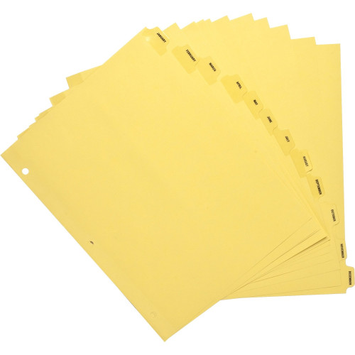 Business Source Monthly Clear Plastic Tab Index Dividers (01807)