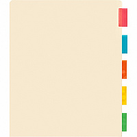 Business Source Color Tab Pocket Binder Dividers Blank Tab(s) - 5 Tab(s)/Set - 9