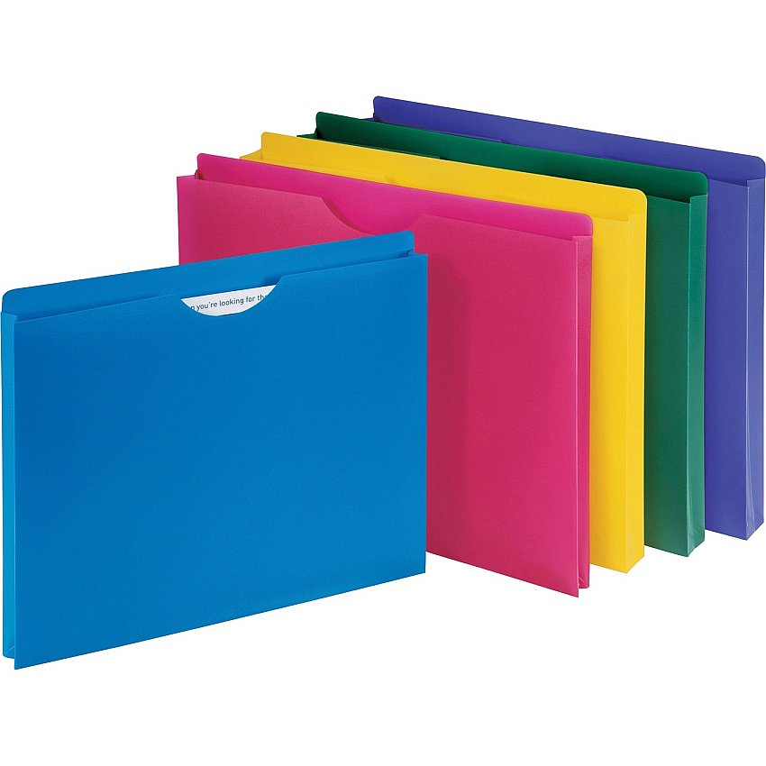 Business Source Straight Tab Cut Letter File Jacket 8 1/2" x 11" - 1" Expansion - Assorted - 10 / Pack (BSN44435)