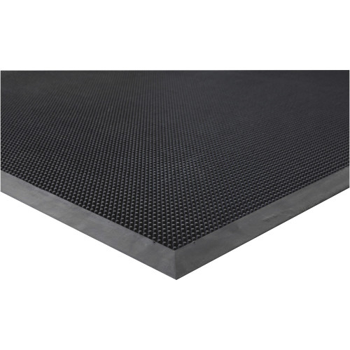 Genuine Joe Brush Tip Scraper Mat (70381)