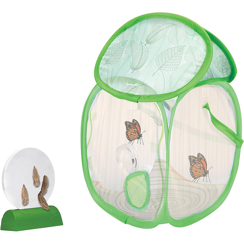 Educational Insights GeoSafari Jr. Butterfly Bungalow STEM Toy - Theme/Subject: Learning - 4-10 Year - Multi (5085)