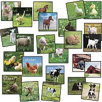 Flagship Carpets Barnyard Classroom Seat Squares Floor Rug - 16" Length x 16" Width x 0.50" Thickness - Square - Multicolor - Yarn - 1 Set (FA1004S24FS)