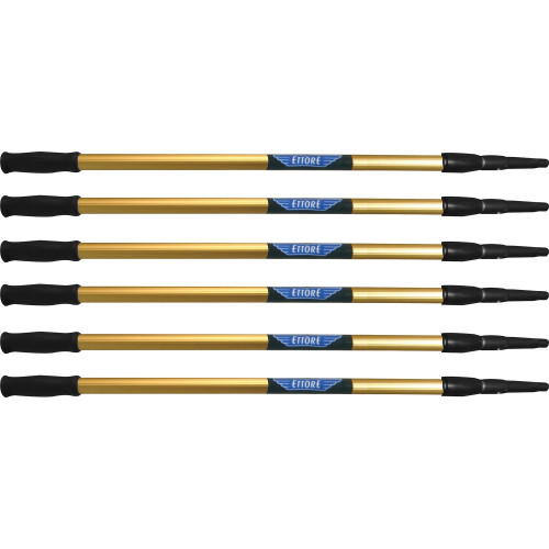 Ettore REA-C-H 2-Section Pole (42104CT)