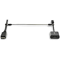StarTech 20pk Security Cable Tethers For Adapters (CONNLOCKPK20)