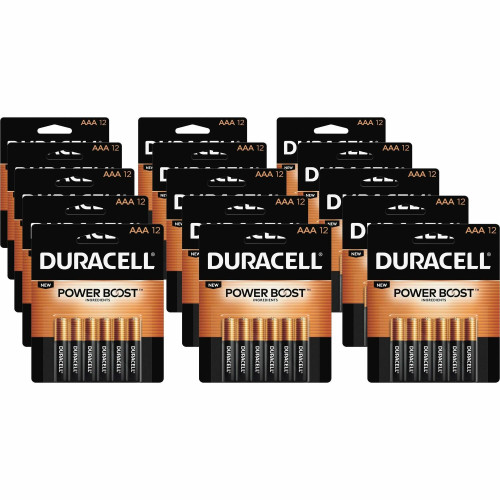 Duracell CopperTop Battery (MN24RT12ZCT)
