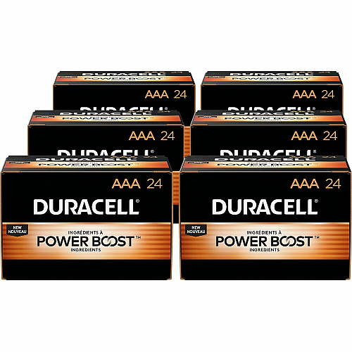 Duracell Coppertop Alkaline AAA Battery Boxes of 24 For Multipurpose - AAA - 144 / Carton (02401CT)