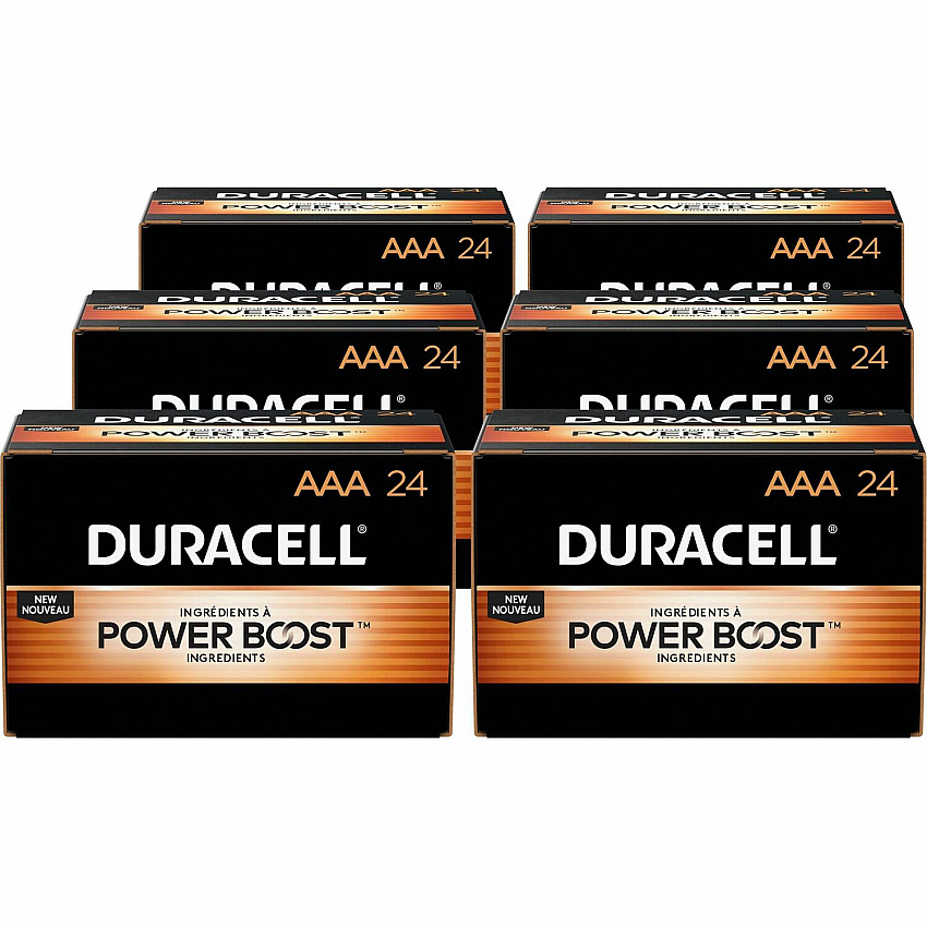 Duracell Coppertop Alkaline AAA Battery Boxes of 24 For Multipurpose - AAA - 144 / Carton (02401CT)