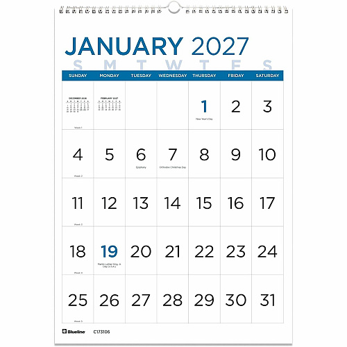 Blueline Large Print Wall Calendar, English (C173106)