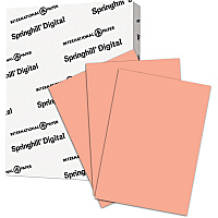 Springhill Multipurpose Cardstock - Salmon 92 Brightness - Letter - 8 1/2" x 11" - 110 lb Basis Weight - Smooth - Salmon - 250 / Pack (085300)