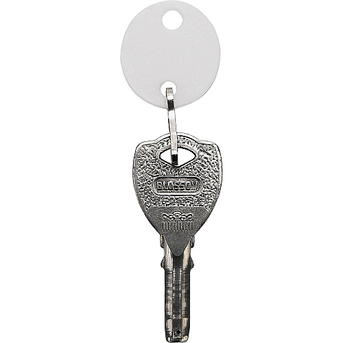 Sparco Oval Key Tags 0.75" Length x 1.10" Width - Oval - Hook Fastener - Plastic - White - 20 / Pack (02886)