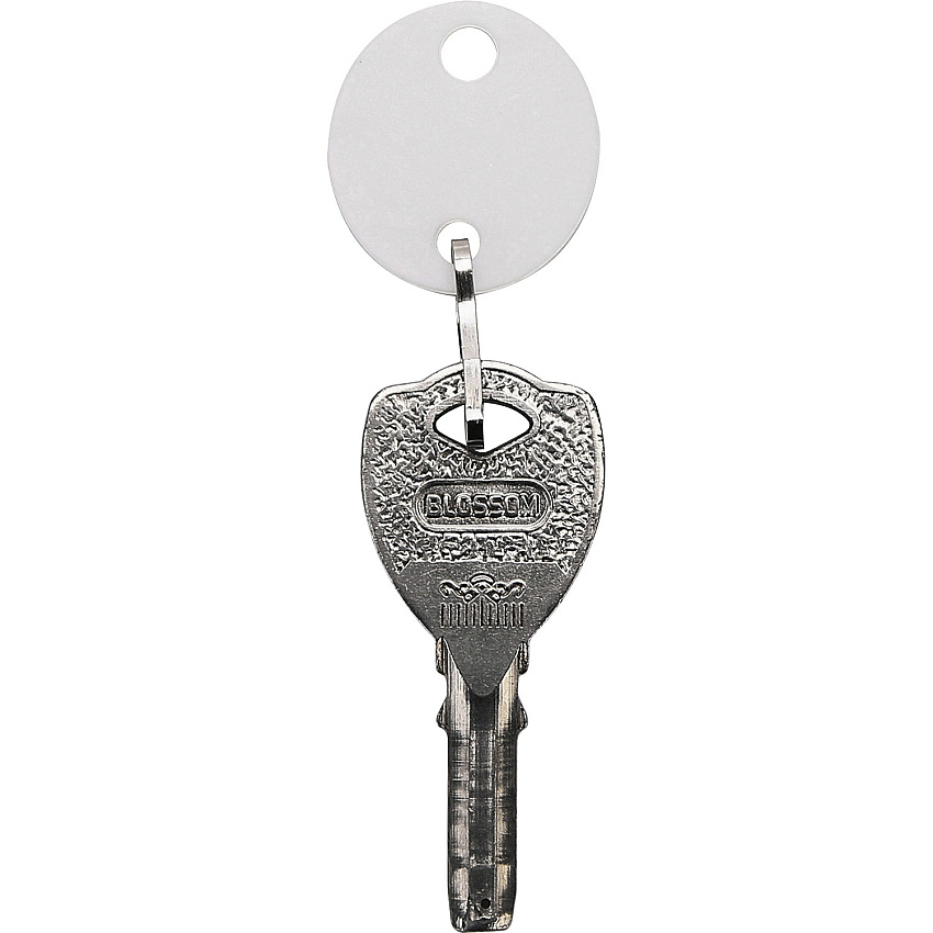 Sparco Oval Key Tags 0.75" Length x 1.10" Width - Oval - Hook Fastener - Plastic - White - 20 / Pack (02886)