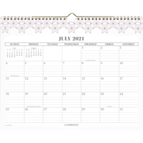 At-A-Glance WorkStyle Pink Academic Wall Calendar (1557P707A)