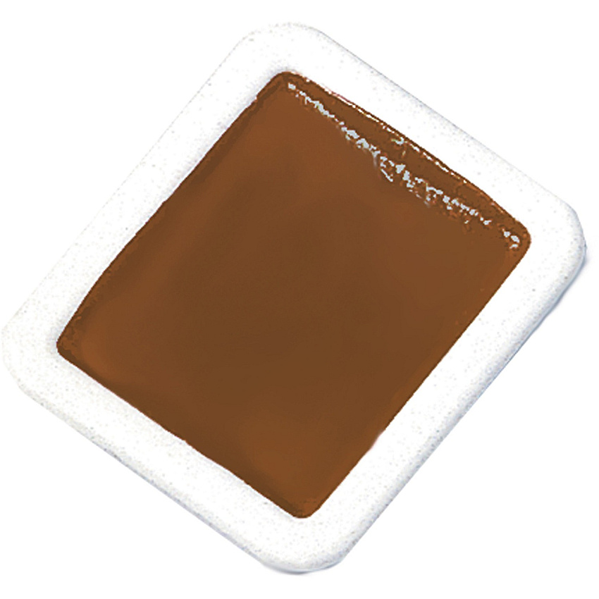 Prang Half-Pan Watercolors Refill 12 Color(s) - Brown - 1 Dozen (X8007)