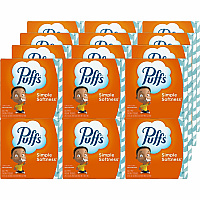 Puffs Basic Facial Tissue 2 Ply - 8.40" x 8.20" - White - 64 Per Box - 24 / Carton (84405CT)