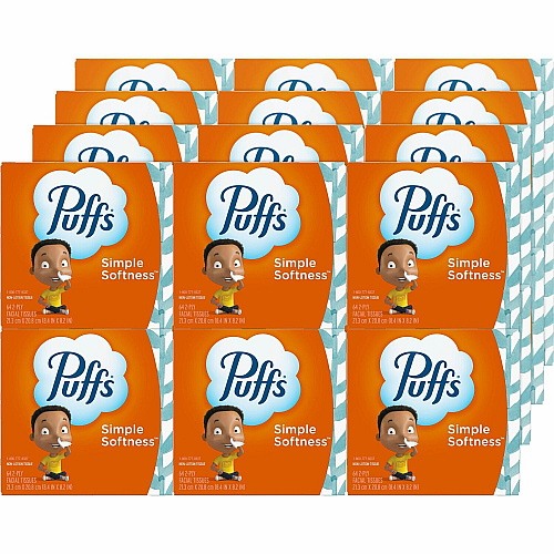 Puffs Basic Facial Tissue 2 Ply - 8.40" x 8.20" - White - 64 Per Box - 24 / Carton (84405CT)
