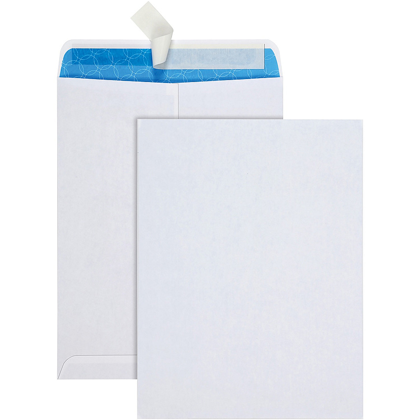 Quality Park 9 x 12 Treated, Security Tinted Catalog Envelopes with Redi-Strip&reg; Closure Catalog - 9" Width x 12" Length - 28 lb - Flap - White - 100 / Box (41415R)